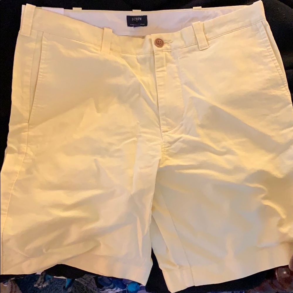 J crew 9 inch oxford shorts.